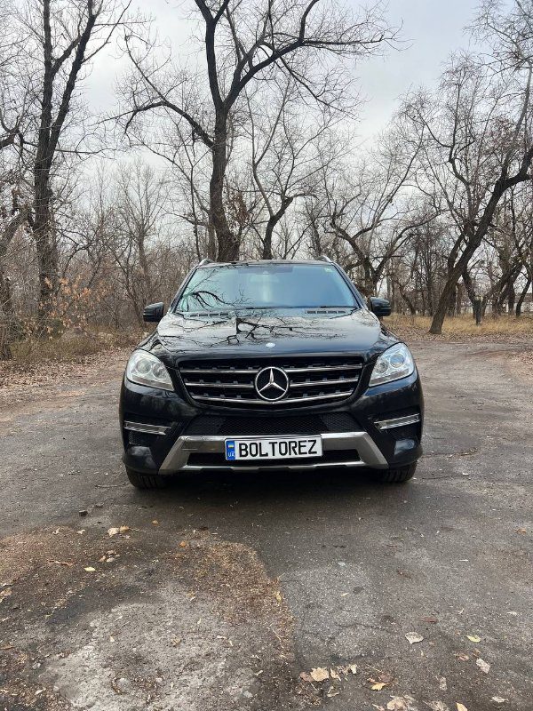 Mercedes W166 (2011+…)