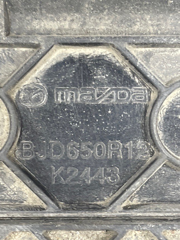 Жалюзі радіатора